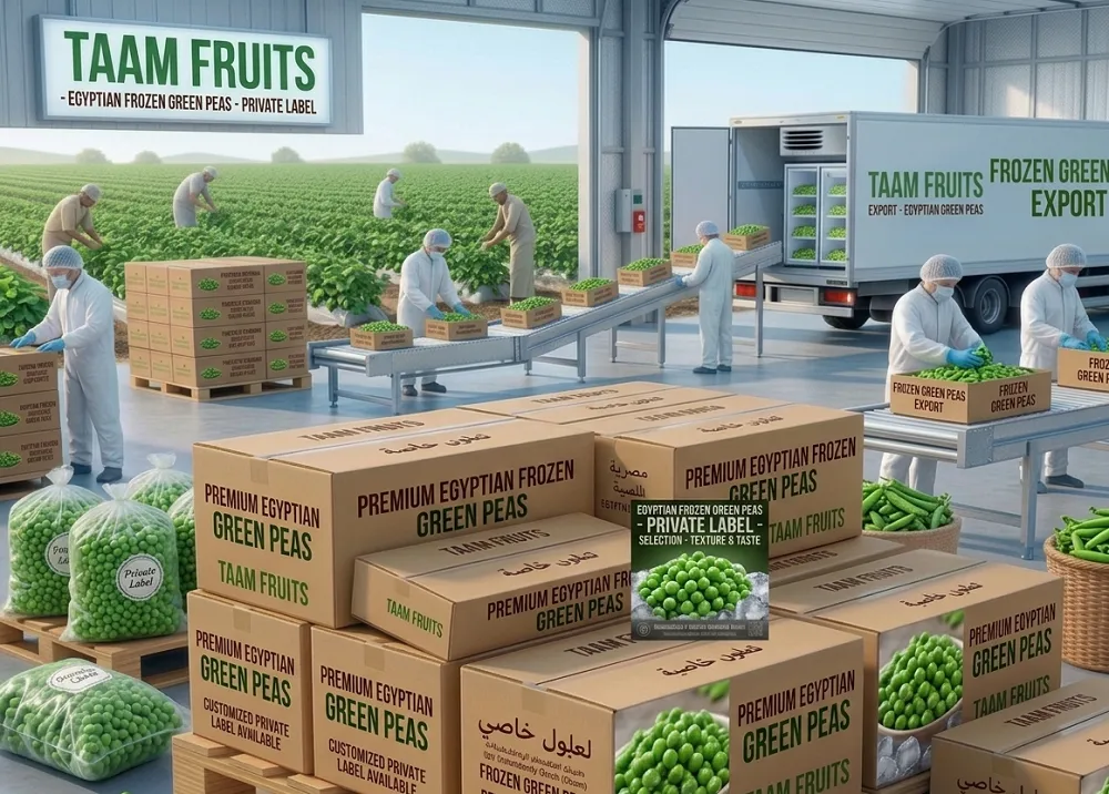 Egyptian export frozen peas